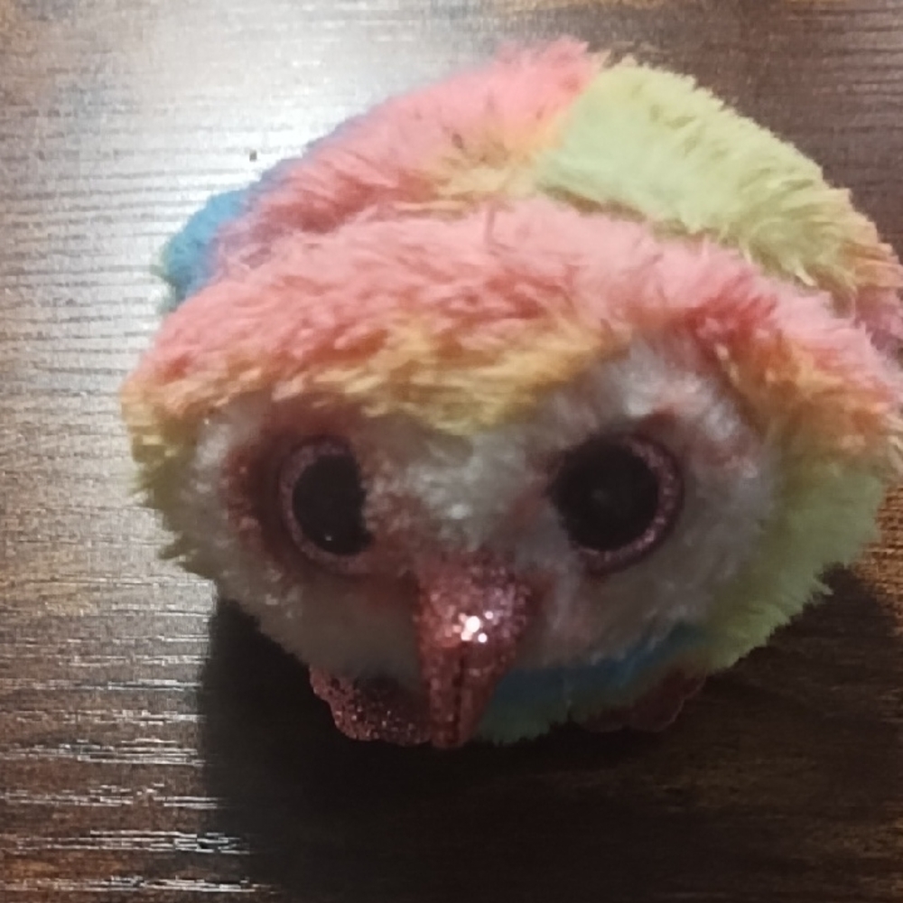 Rainbow Owl